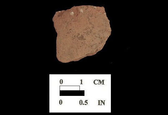 Shenks Ferry body sherd (exterior surface) from the Perry Point site I-5, 18CE256/4.
